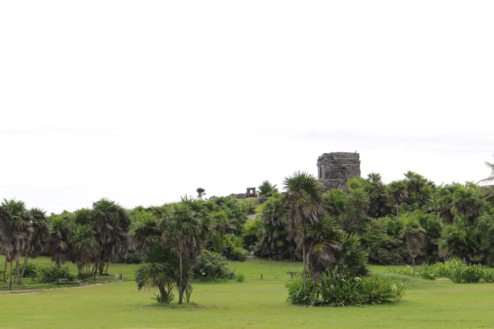 Une tour maya qui dépasse de la végétation à Tulum